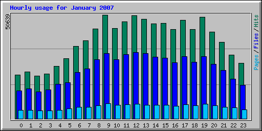 Hourly usage for January 2007