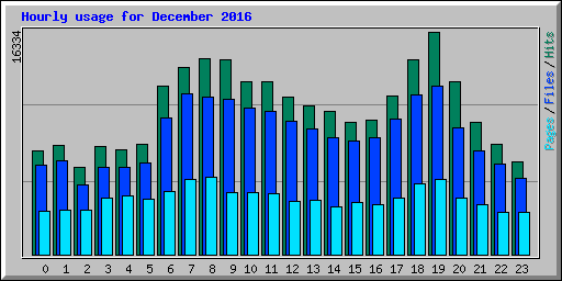 Hourly usage for December 2016