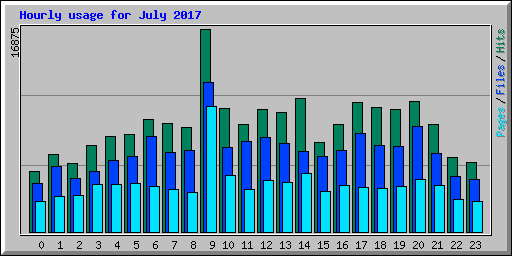 Hourly usage for July 2017